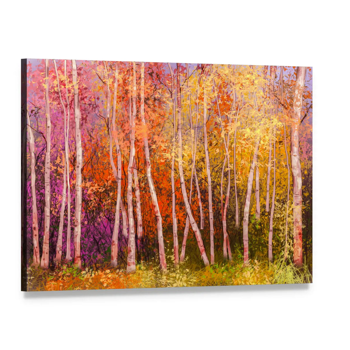 Colorful Autumn Birch Trees Canvas Wall Art, single panel gallery wrapped canvas, angled product view