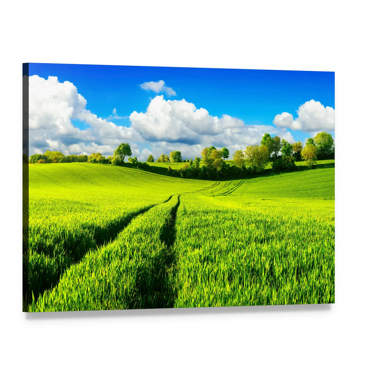 Idyllic Green Fields Canvas Wall Art, single panel gallery wrapped canvas, angled product view