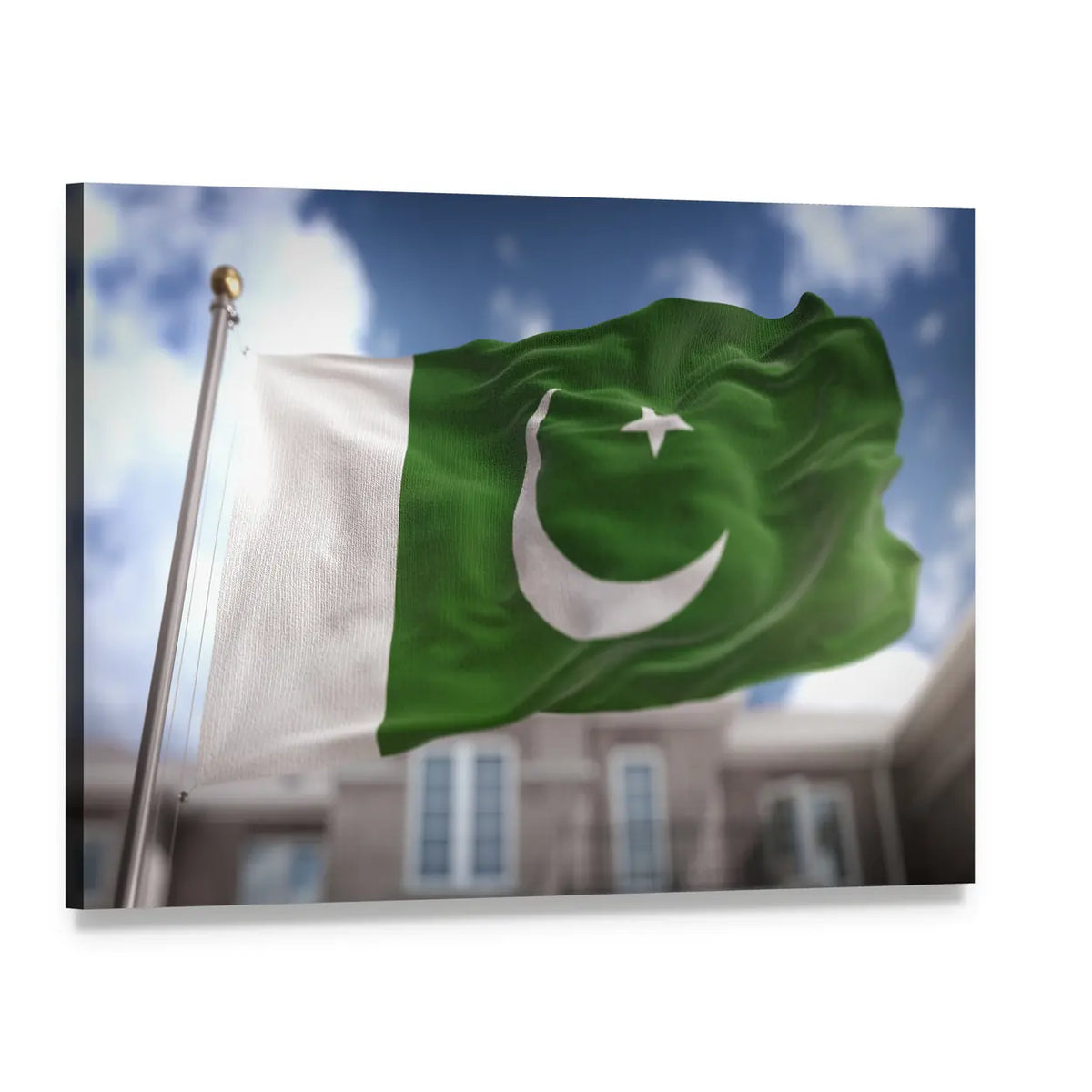 Pakistani Flag on Pole Canvas Wall Art, single panel gallery wrapped canvas, angled product view