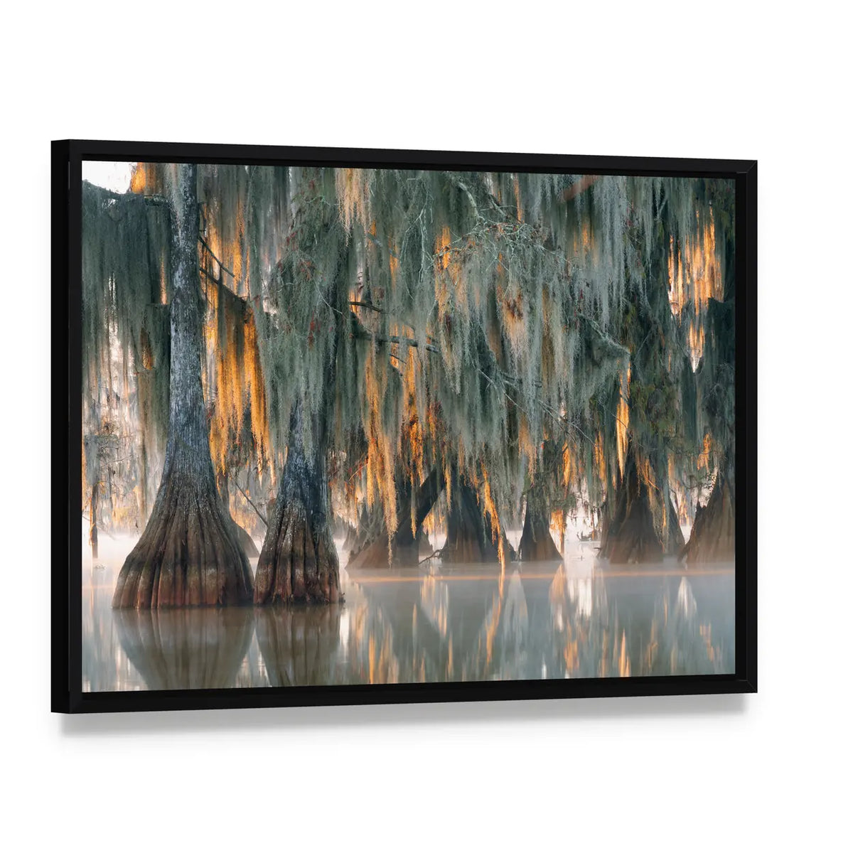 Bald Cypress Trees Canvas Wall Art, framed canvas in a black floater frame, angled product view