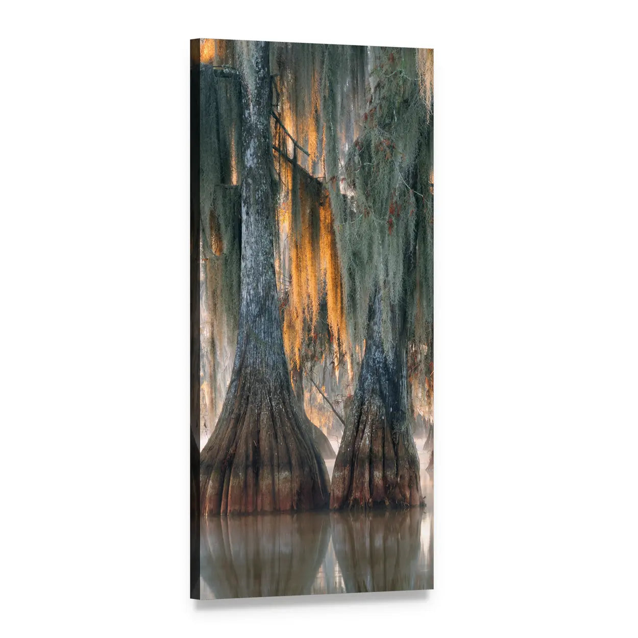 Bald Cypress Trees in Golden Light Vertical Canvas Wall Art, 1 panel 1 Vertical layout gallery wrapped canvas set, angled product view