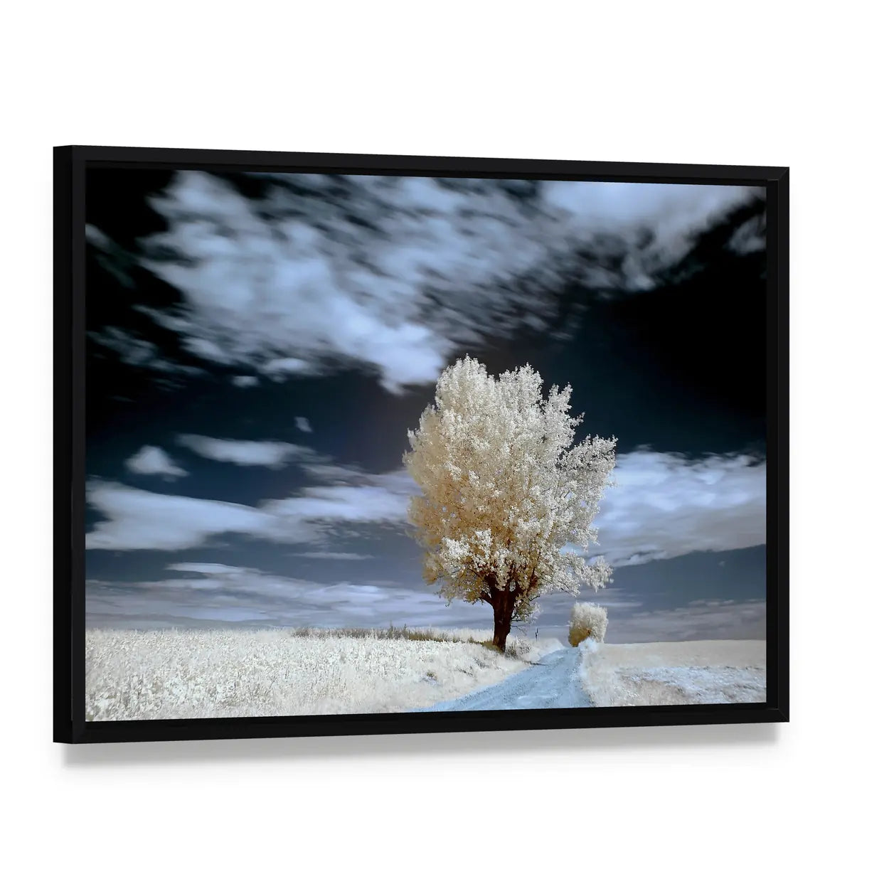 Alone Tree In Winter Canvas Wall Art, framed canvas in a black floater frame, angled product view