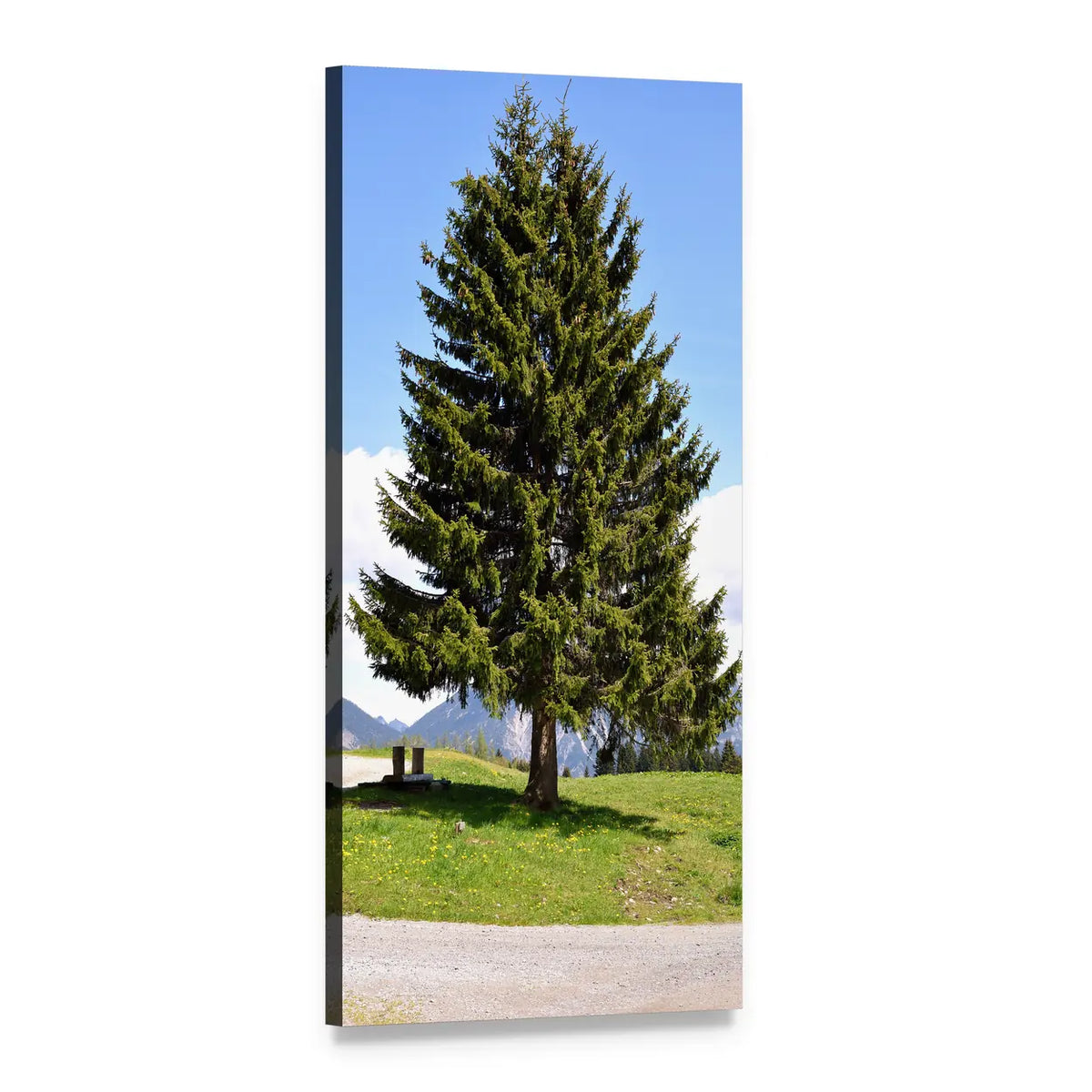 Lone Evergreen and Bench on Grassy Hill Vertical Canvas Wall Art, 1 panel 1 Vertical layout gallery wrapped canvas set, angled product view