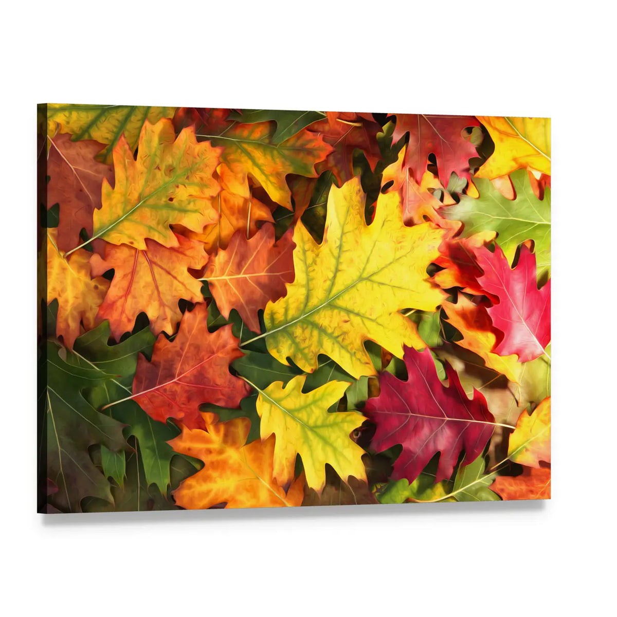 Colorful Oak Leaves in Autumn Canvas Wall Art, single panel gallery wrapped canvas, angled product view