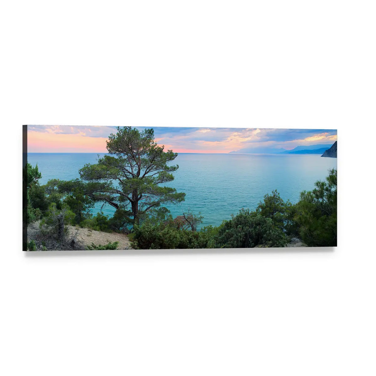 Gnarled Pine Over Calm Sea at Dawn Panoramic Canvas Wall Art, single panel gallery wrapped canvas, angled product view