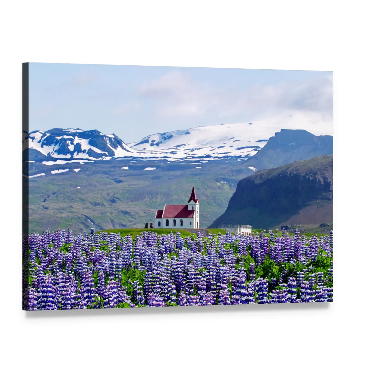 Icelandic Church with Purple Lupine Field Canvas Wall Art, single panel gallery wrapped canvas, angled product view