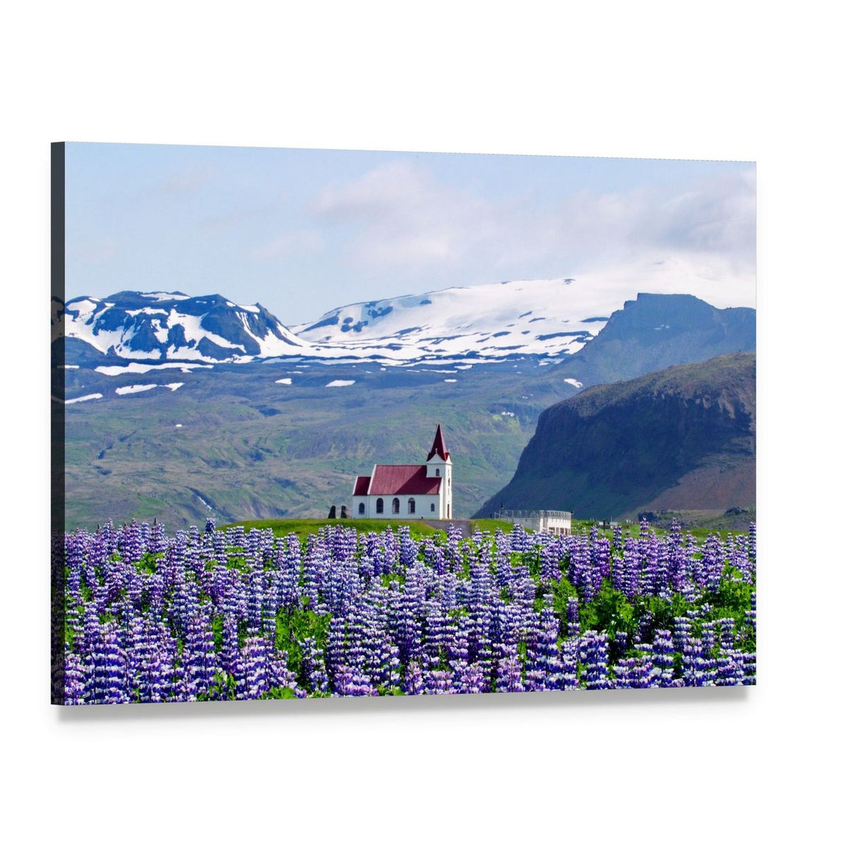 Red-roofed Church with Purple Lupine Field Canvas Wall Art, single panel gallery wrapped canvas, angled product view