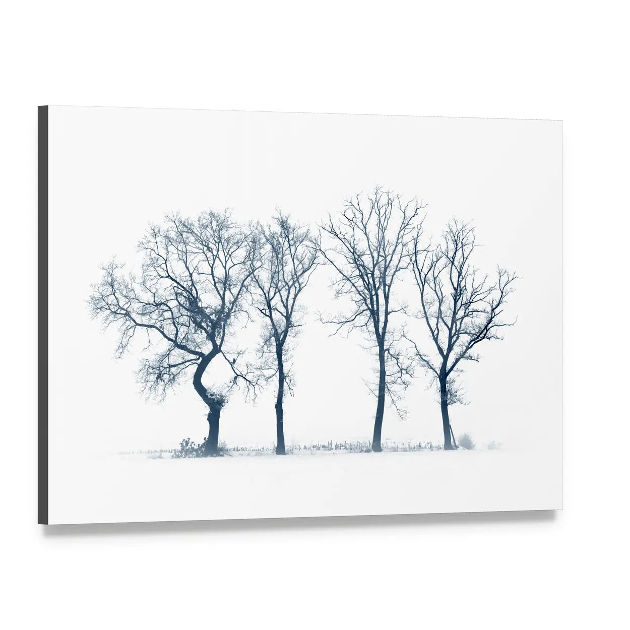 Four Bare Trees in Winter Canvas Wall Art, single panel gallery wrapped canvas, angled product view
