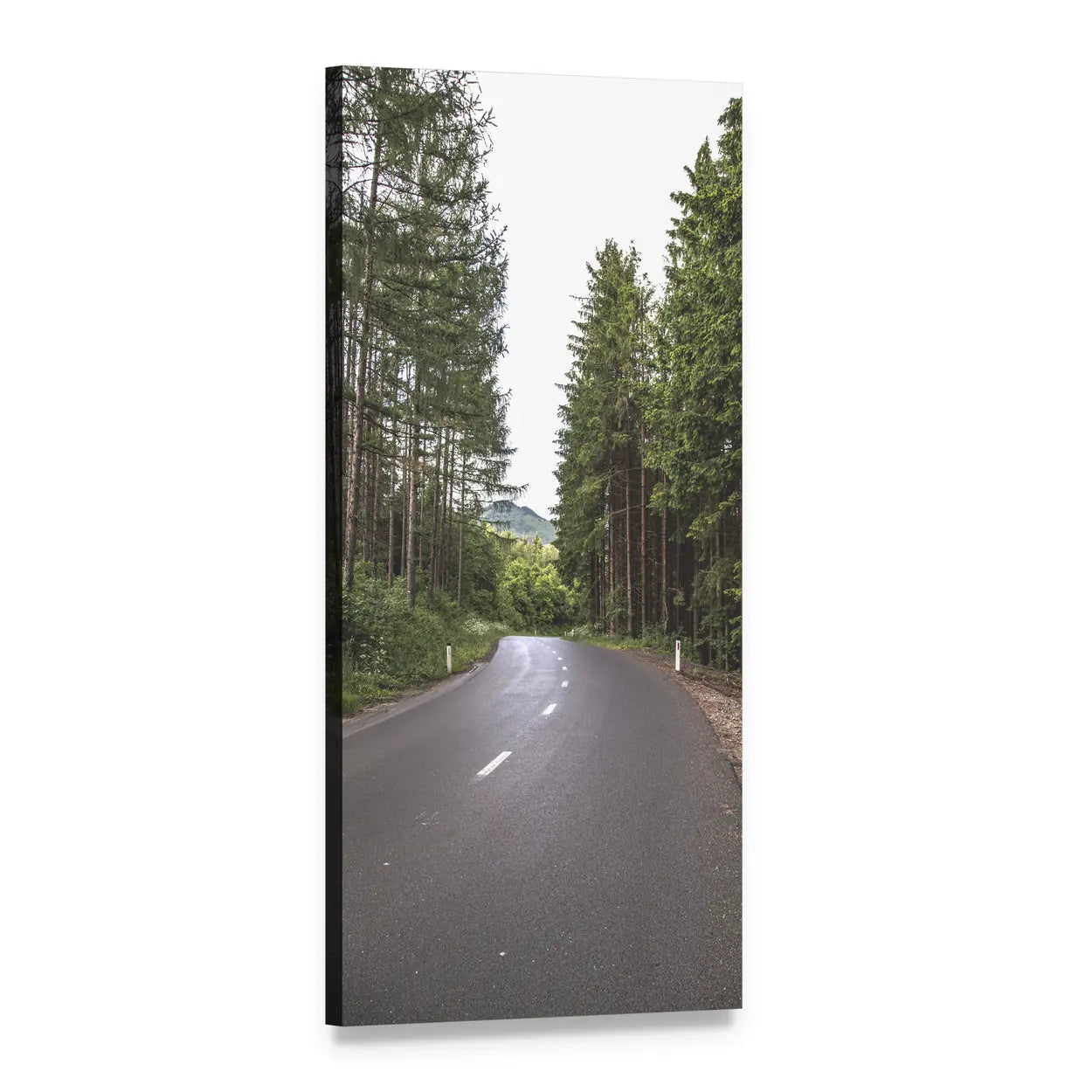 Paved Forest Road with Pine Trees Vertical Canvas Wall Art, 1 panel 1 Vertical layout gallery wrapped canvas set, angled product view