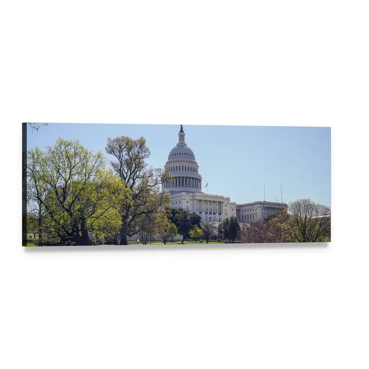 United States Capitol, Washington Panoramic Canvas Wall Art, single panel gallery wrapped canvas, angled product view