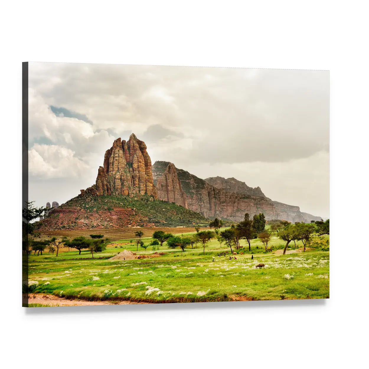 Savanna Landscape with Jagged Rocks and Acacia Trees Canvas Wall Art, single panel gallery wrapped canvas, angled product view