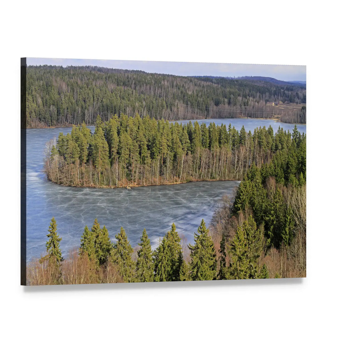 Frozen Lake in Forest Canvas Wall Art, single panel gallery wrapped canvas, angled product view