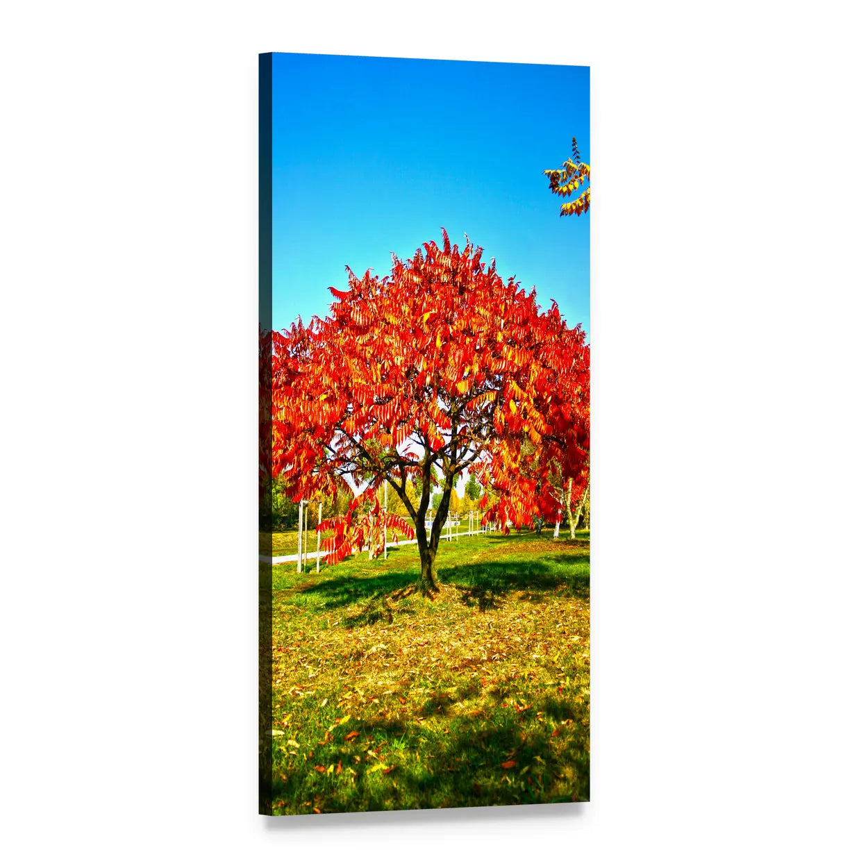 Autumn Tree Under Blue Sky Vertical Canvas Wall Art, 1 panel 1 Vertical layout gallery wrapped canvas set, angled product view