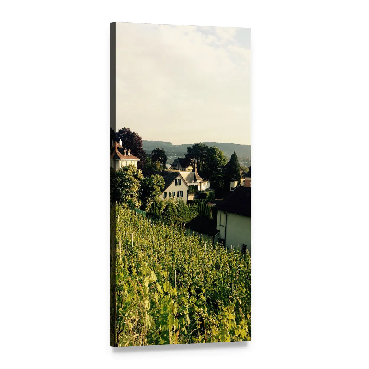 Vineyard Overlooking Hillside Village Vertical Canvas Wall Art, 1 panel 1 Vertical layout gallery wrapped canvas set, angled product view