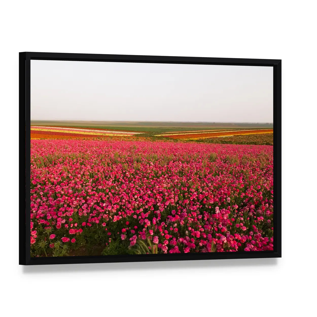 Field of Spring Flowers Canvas Wall Art, framed canvas in a black floater frame, angled product view