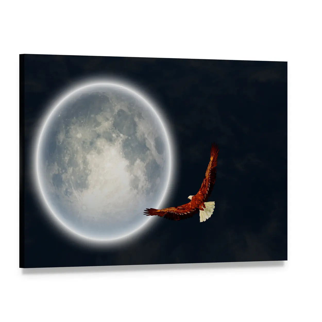 Bald Eagle Flying Before Full Moon Canvas Wall Art, single panel gallery wrapped canvas, angled product view