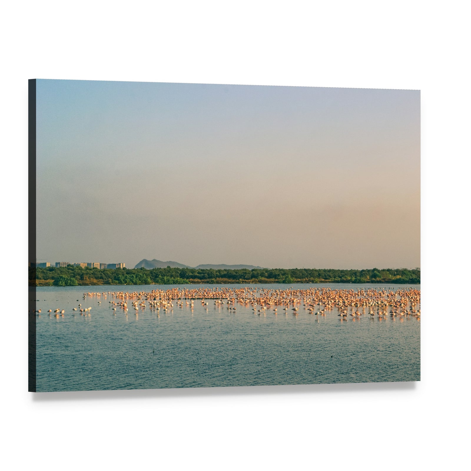 Large Flock of Flamingos on Lake Canvas Wall Art, single panel gallery wrapped canvas, angled product view