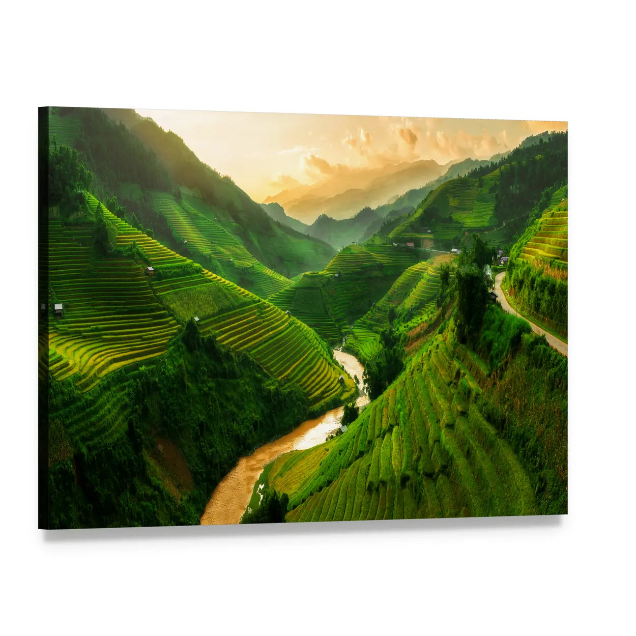 Terraced Rice Field In Mu Cang Chai In Vietnam Canvas Wall Art, single panel gallery wrapped canvas, angled product view