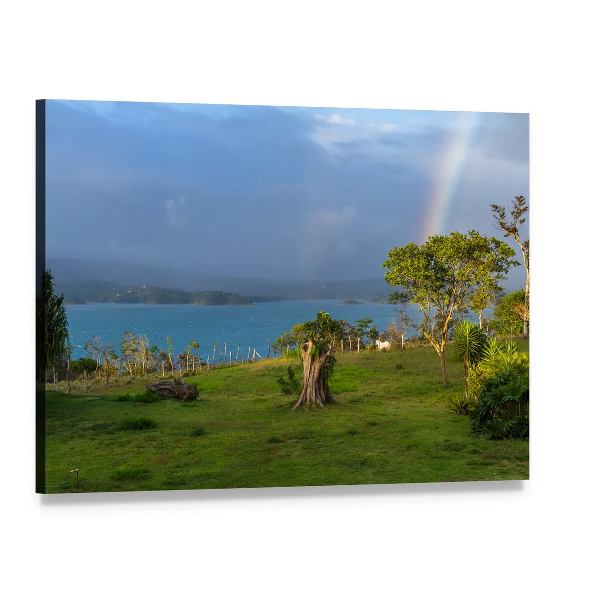 Lake Arenal with Rainbow and Lone Tree Canvas Wall Art, single panel gallery wrapped canvas, angled product view