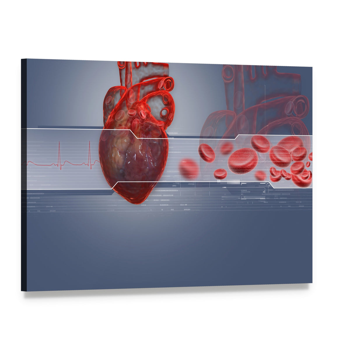 Human Heart Medical Illustration Canvas Wall Art, single panel gallery wrapped canvas, angled product view