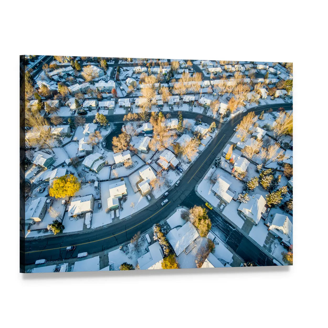 Fort Collins Cityscape In Colorado Canvas Wall Art, single panel gallery wrapped canvas, angled product view