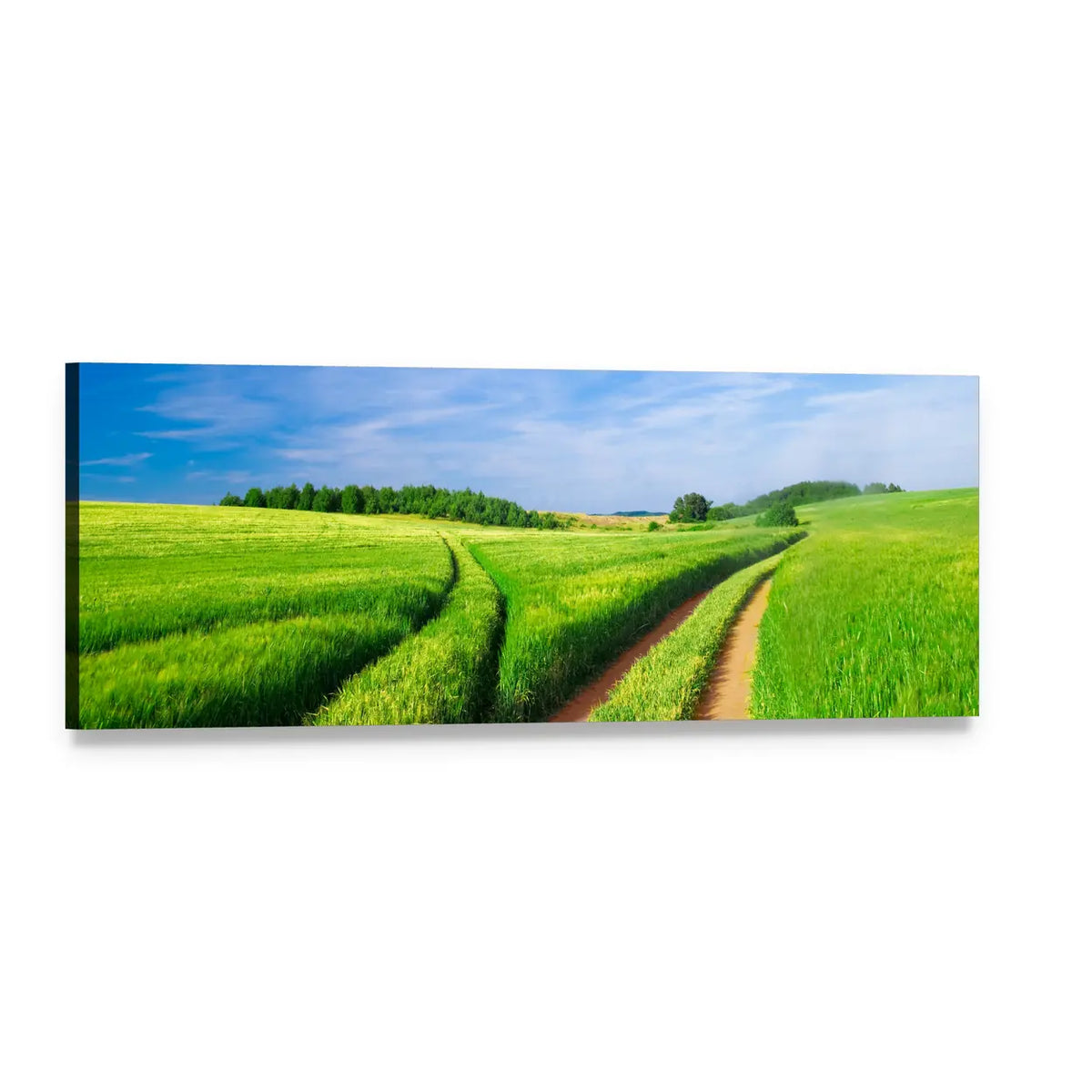 Lush Green Fields with Blue Sky Panoramic Canvas Wall Art, single panel gallery wrapped canvas, angled product view