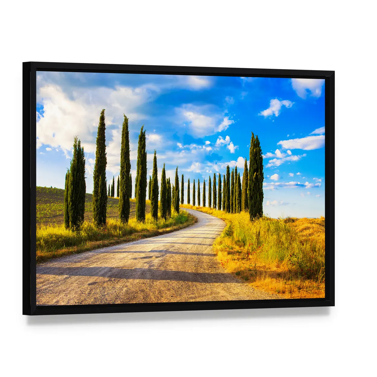 Tuscany Cypress Trees Along Winding Road Canvas Wall Art, framed canvas in a black floater frame, angled product view