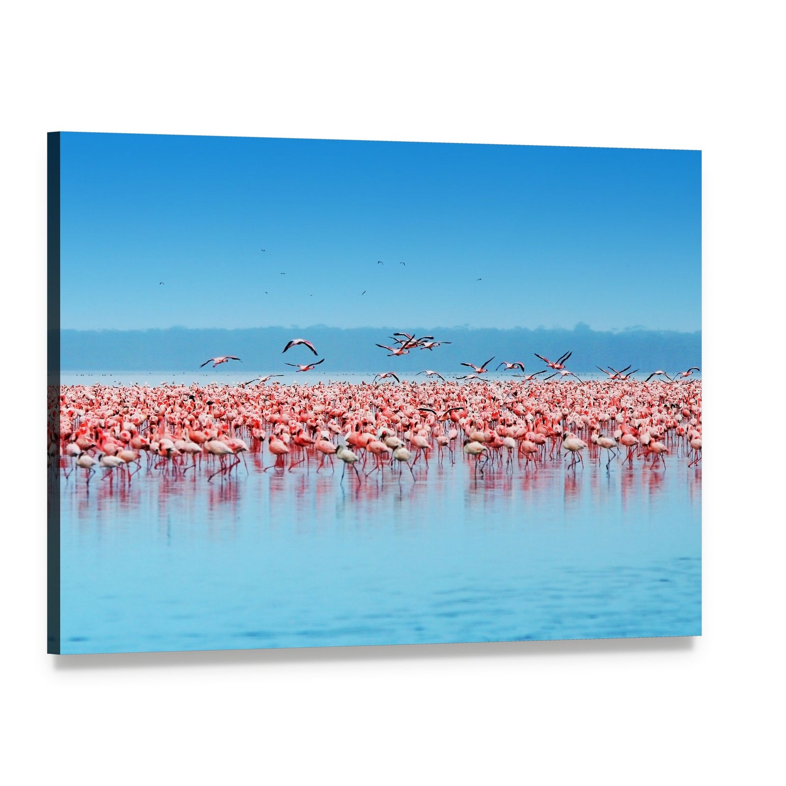 Flock of Flamingos at Lake Nakuru Canvas Wall Art, single panel gallery wrapped canvas, angled product view