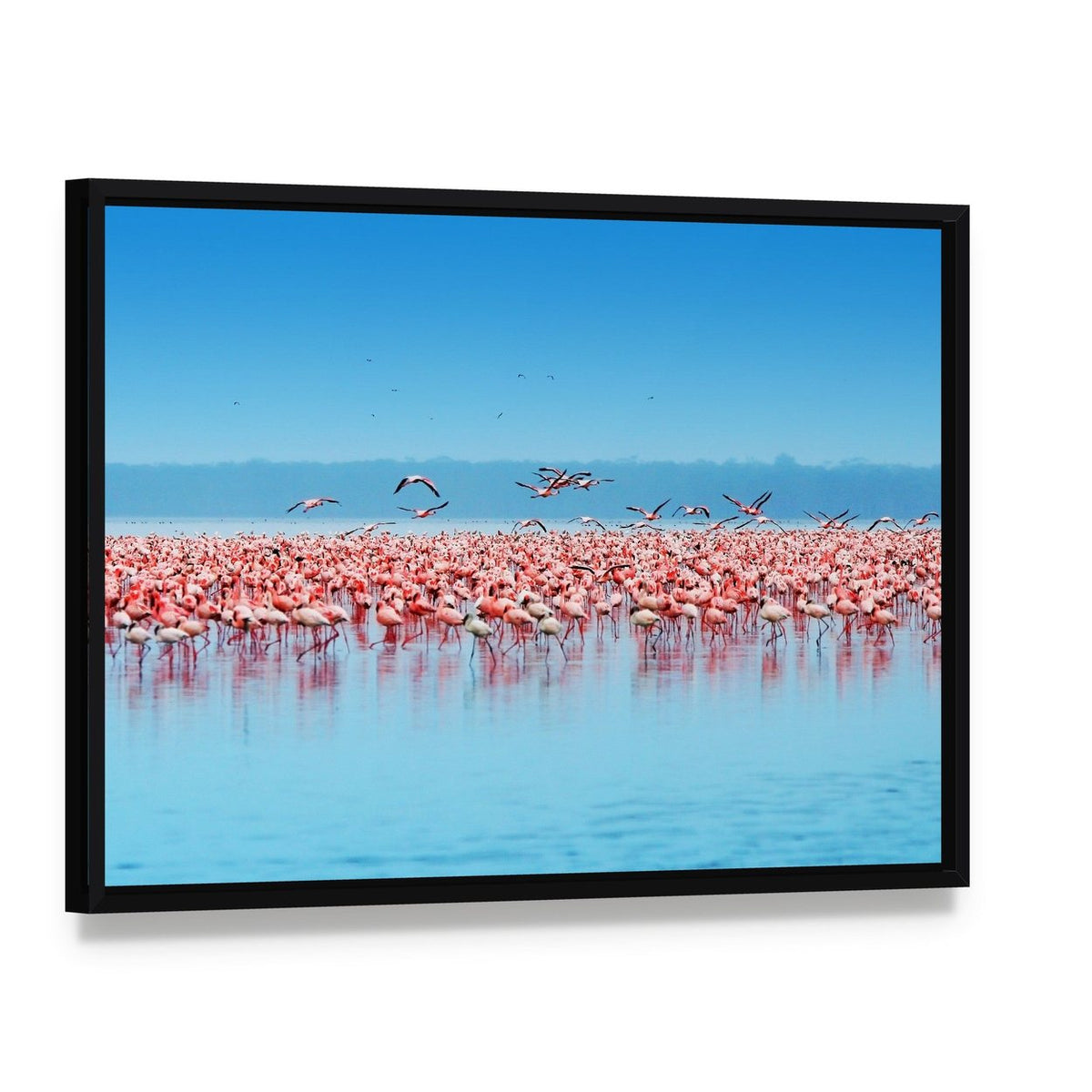 Flock of Flamingos at Lake Nakuru Canvas Wall Art, framed canvas in a black floater frame, angled product view