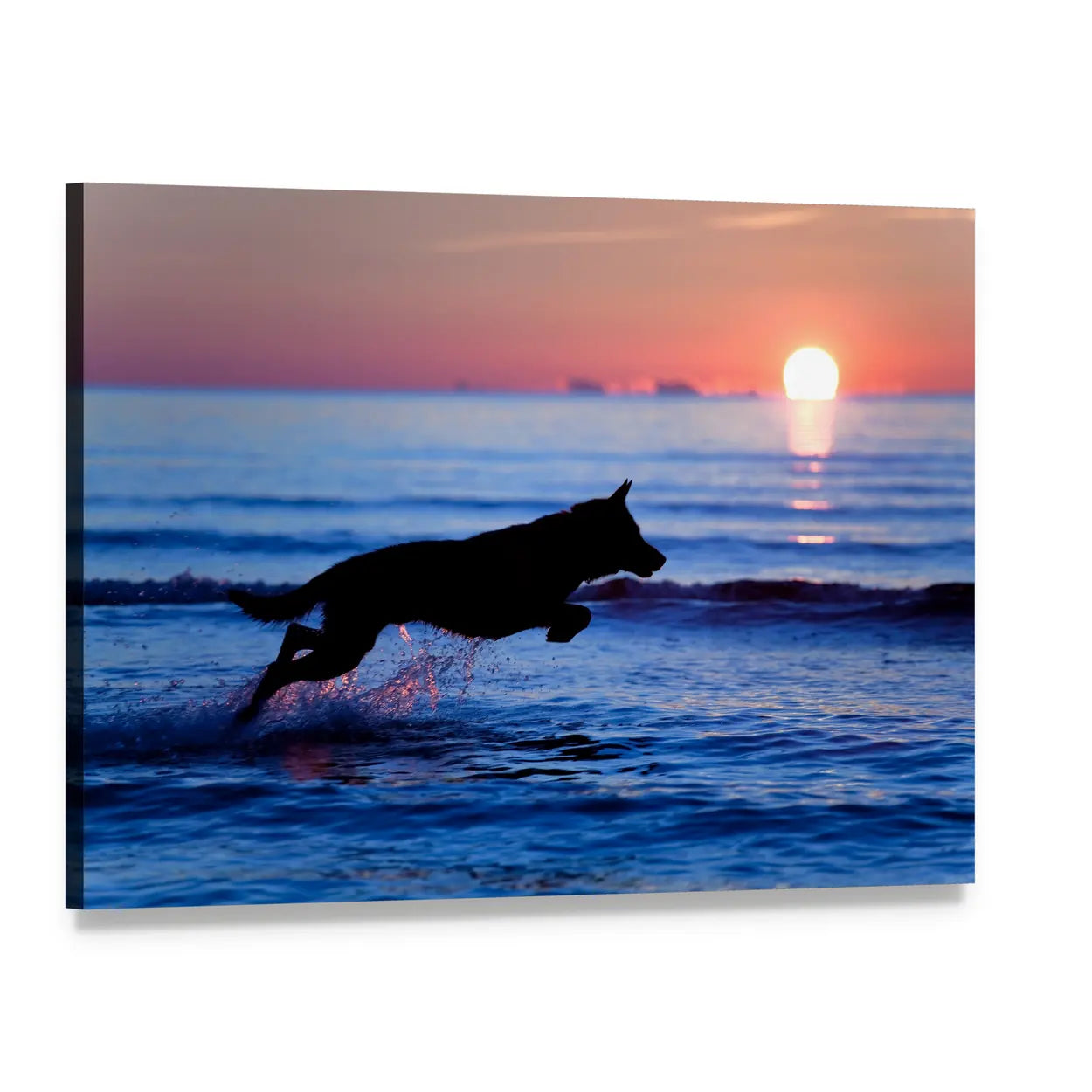 Dog Running on Beach Canvas Wall Art, single panel gallery wrapped canvas, angled product view