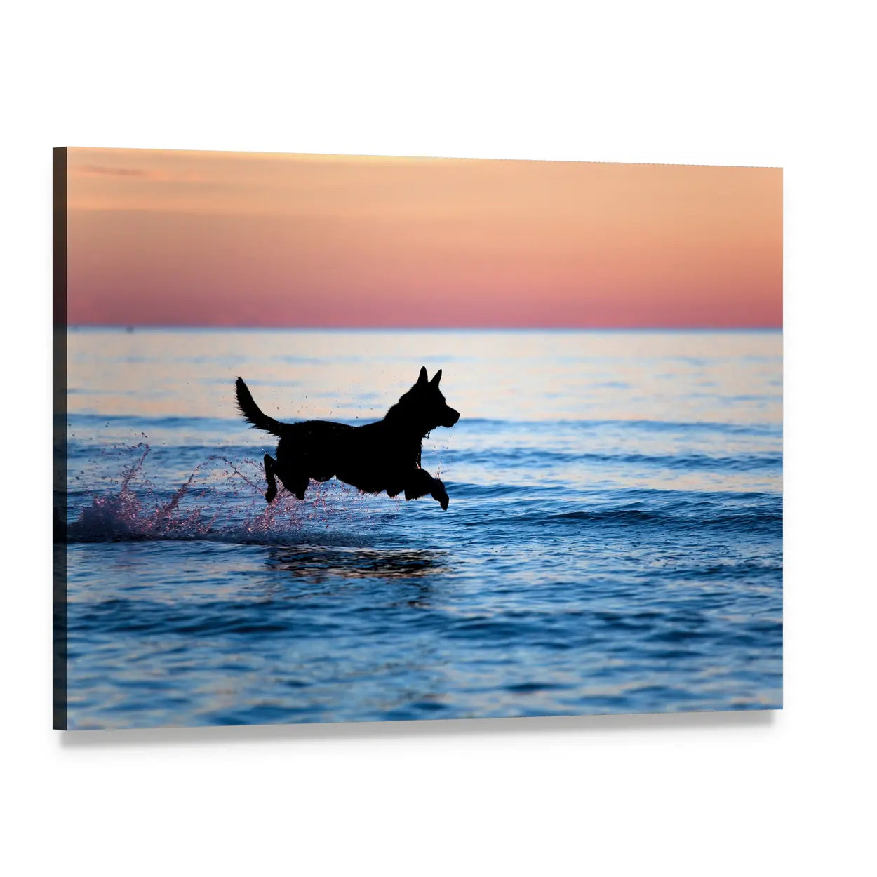 Dog Running on Water Canvas Wall Art, single panel gallery wrapped canvas, angled product view