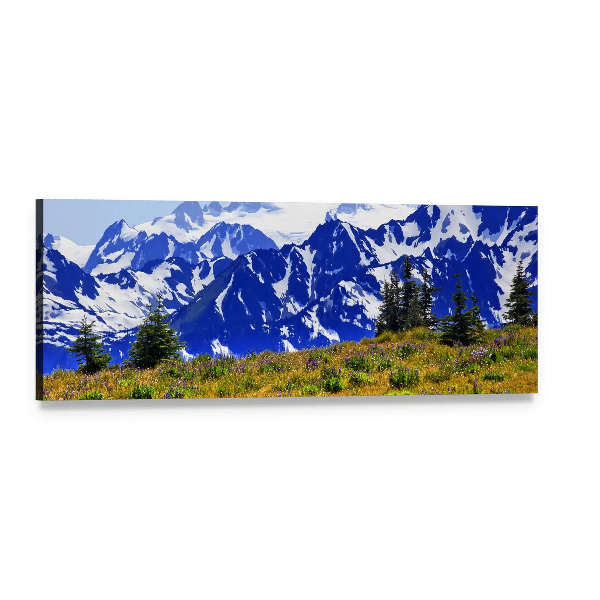 Mount Olympus Alpine Meadow View Panoramic Canvas Wall Art, single panel gallery wrapped canvas, angled product view