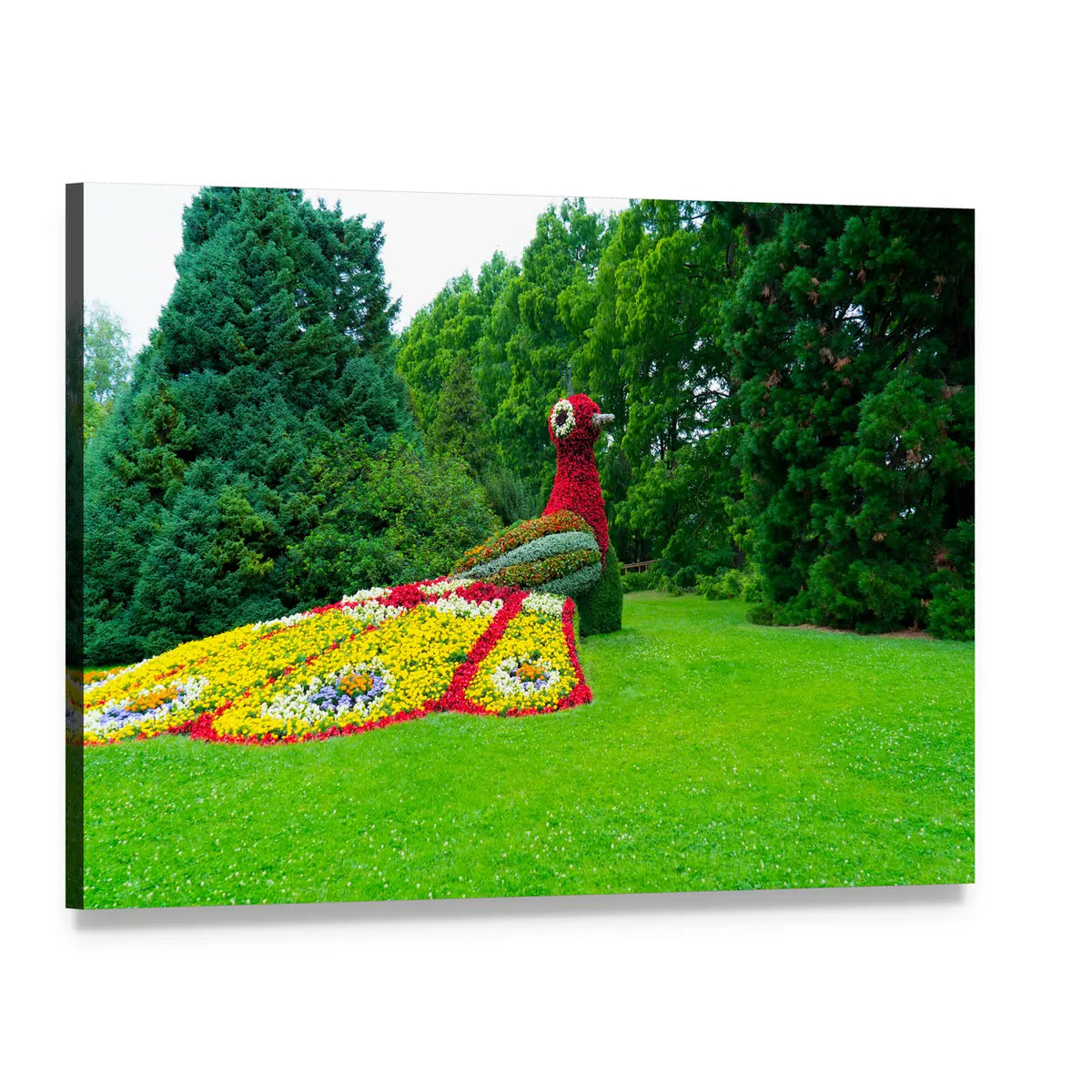 Peacock Made of Flowers Canvas Wall Art, single panel gallery wrapped canvas, angled product view