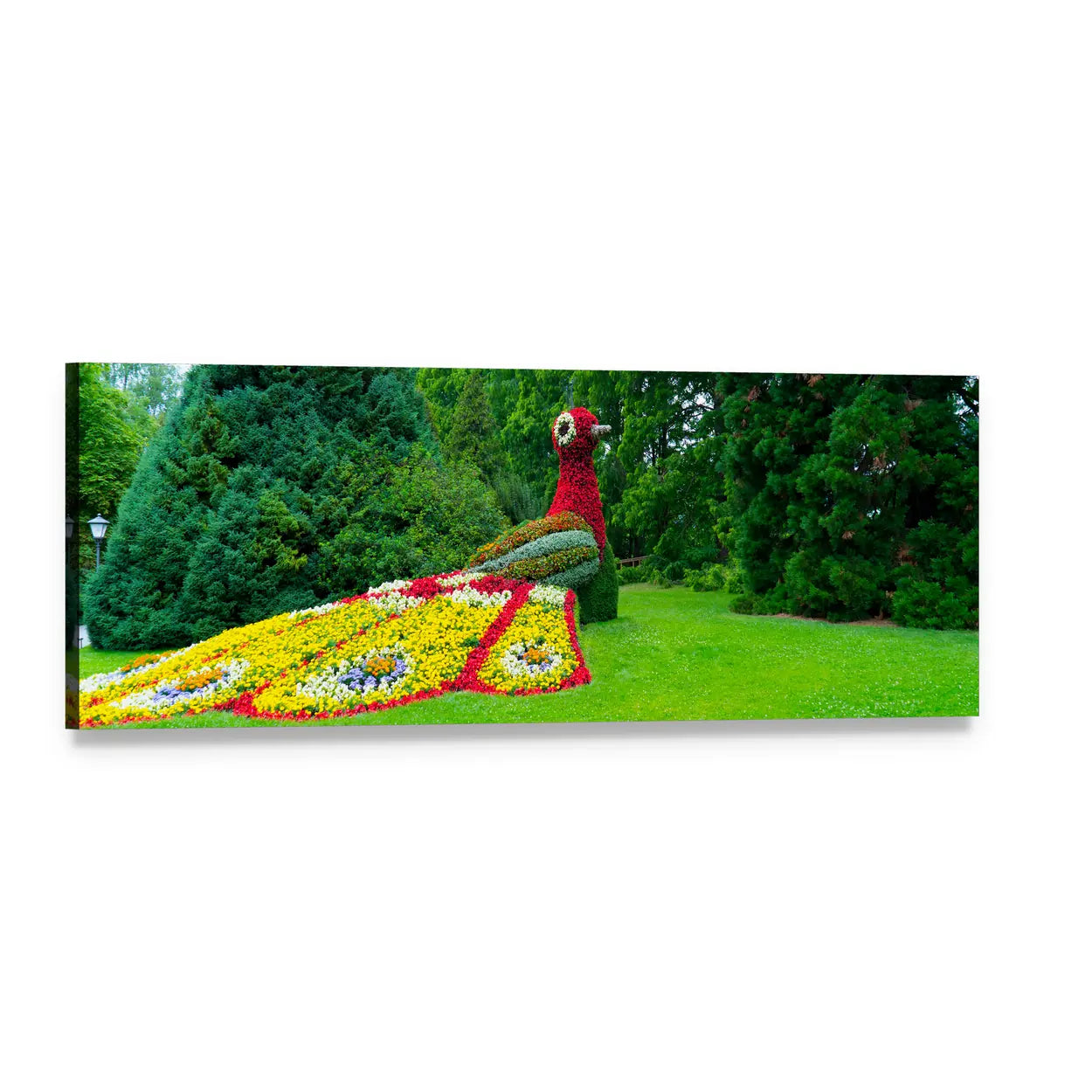 Floral Peacock Sculpture in Sunny Garden Panoramic Canvas Wall Art, single panel gallery wrapped canvas, angled product view