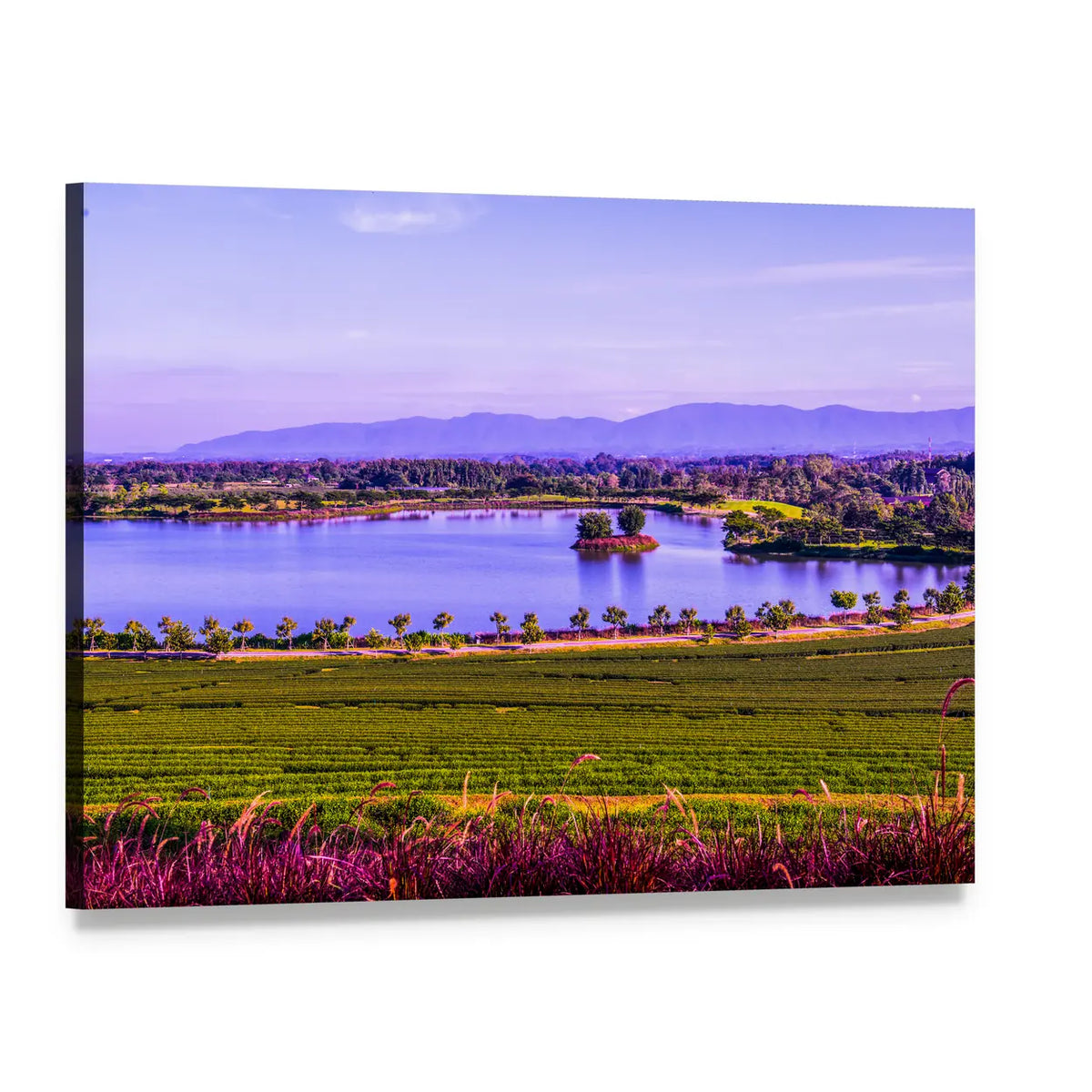 Tea Plantation by a Lake Canvas Wall Art, single panel gallery wrapped canvas, angled product view