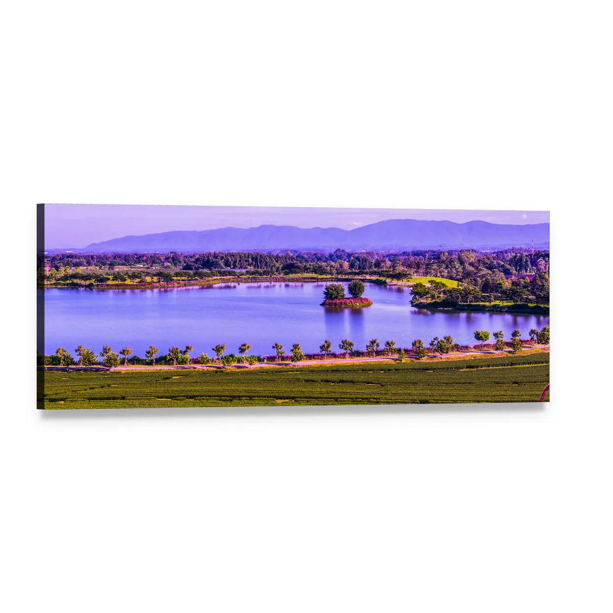 Tea Plantation by Lake Panoramic Canvas Wall Art, single panel gallery wrapped canvas, angled product view