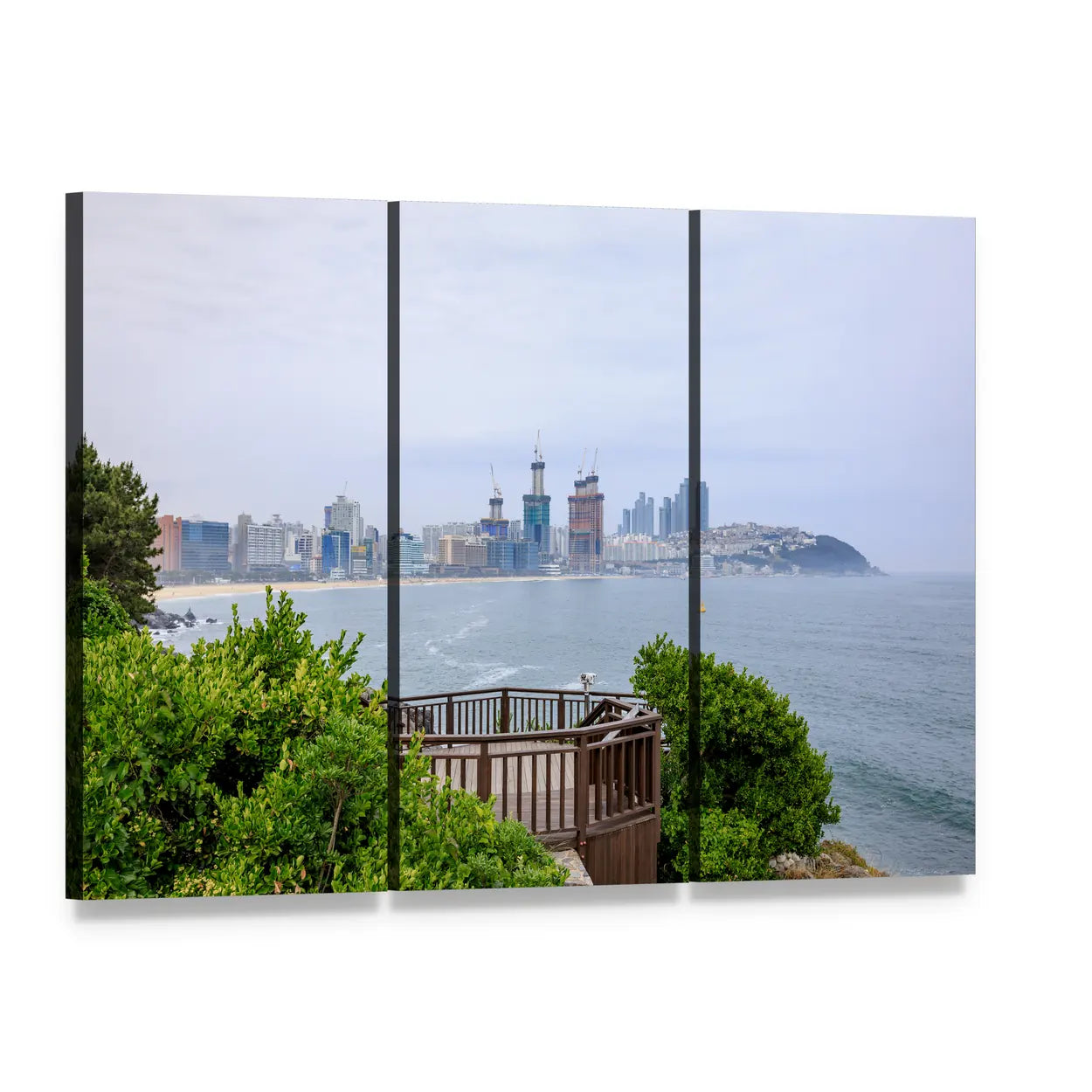 Island of Camellias in Busan Canvas Wall Art, 3 panel 3 Horizontal layout gallery wrapped canvas set, angled product view