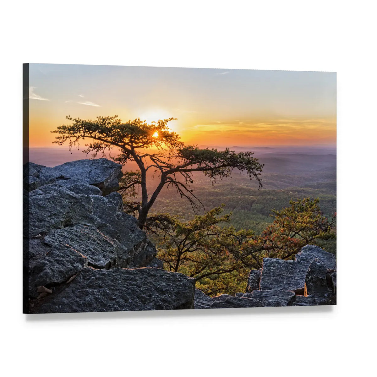 Gnarled Tree at Sunset Overlook Canvas Wall Art, single panel gallery wrapped canvas, angled product view
