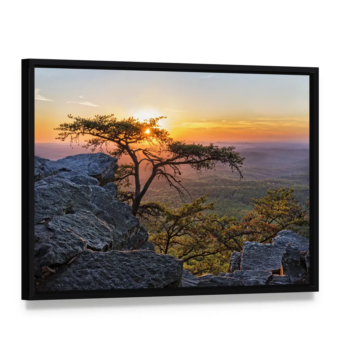 Gnarled Tree at Sunset Overlook Canvas Wall Art, framed canvas in a black floater frame, angled product view