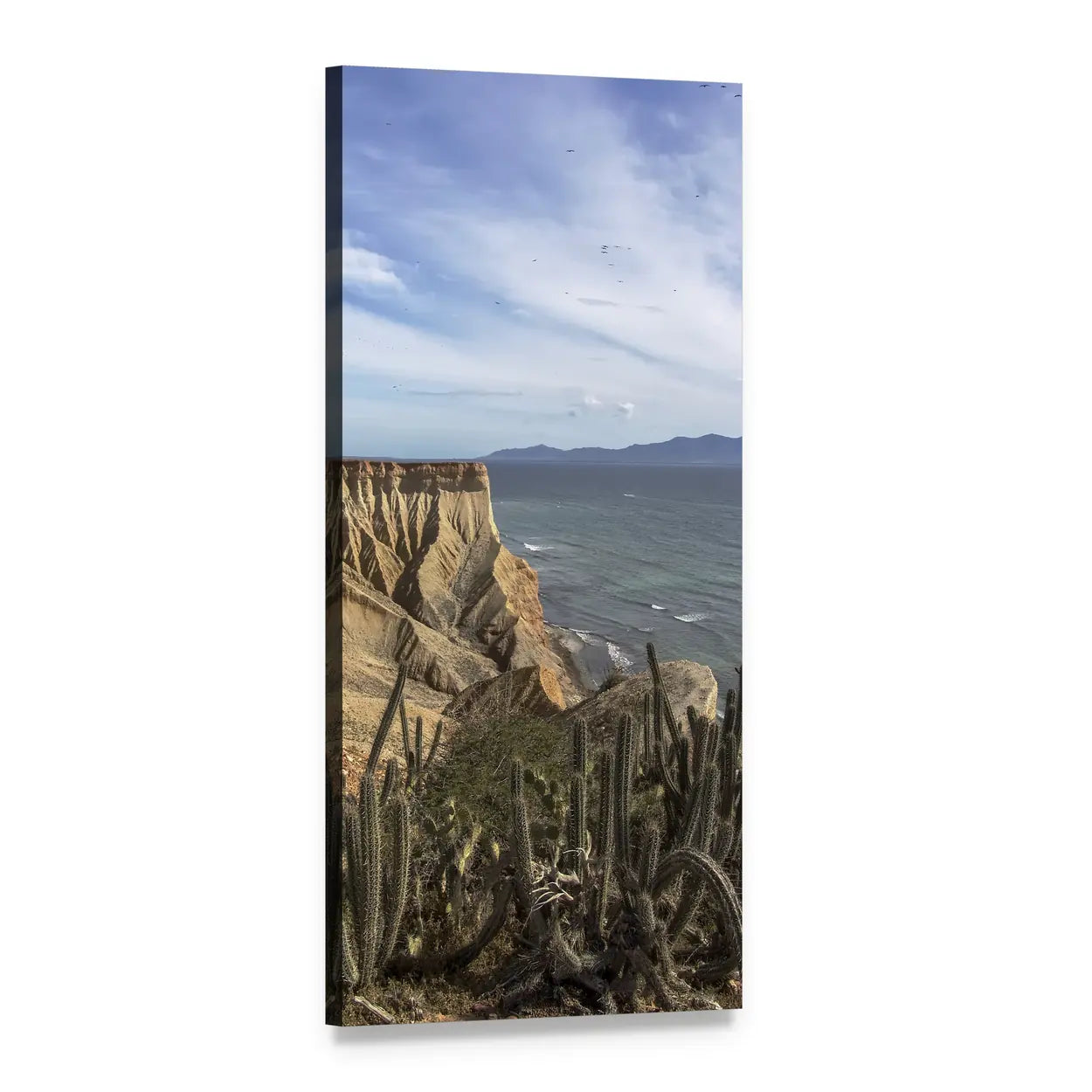 Venezuela Coastal Cliffs with Cacti Vertical Canvas Wall Art, 1 panel 1 Vertical layout gallery wrapped canvas set, angled product view