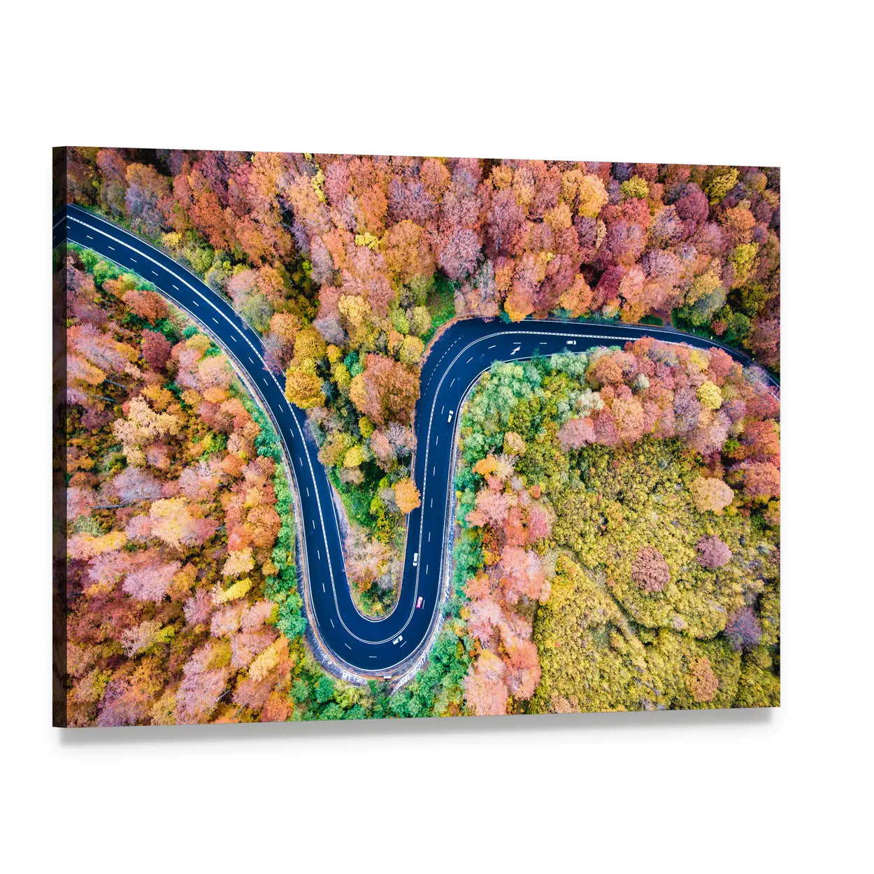 Curved Winding Road Through The Forest Canvas Wall Art, single panel gallery wrapped canvas, angled product view