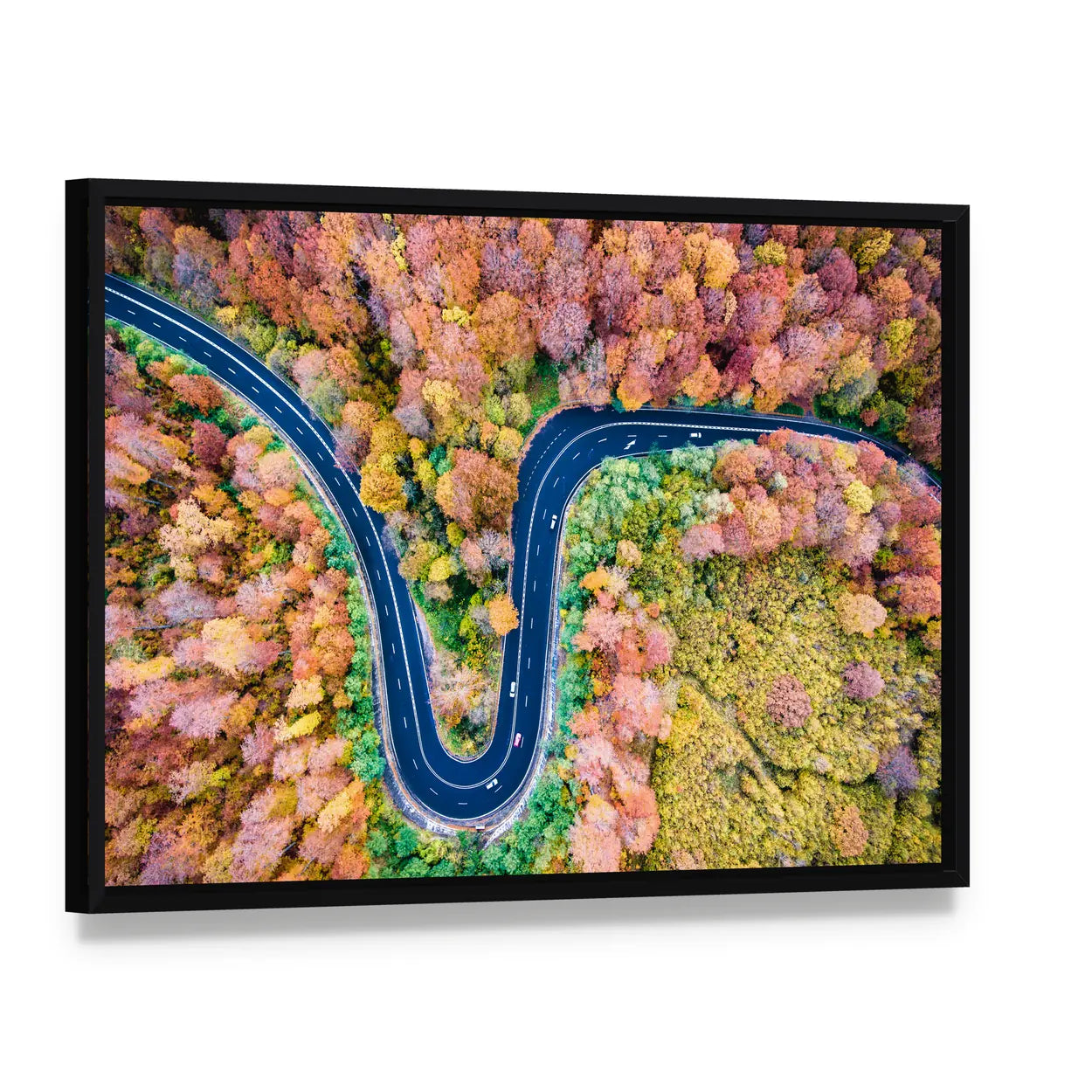 Curved Winding Road Through The Forest Canvas Wall Art, framed canvas in a black floater frame, angled product view
