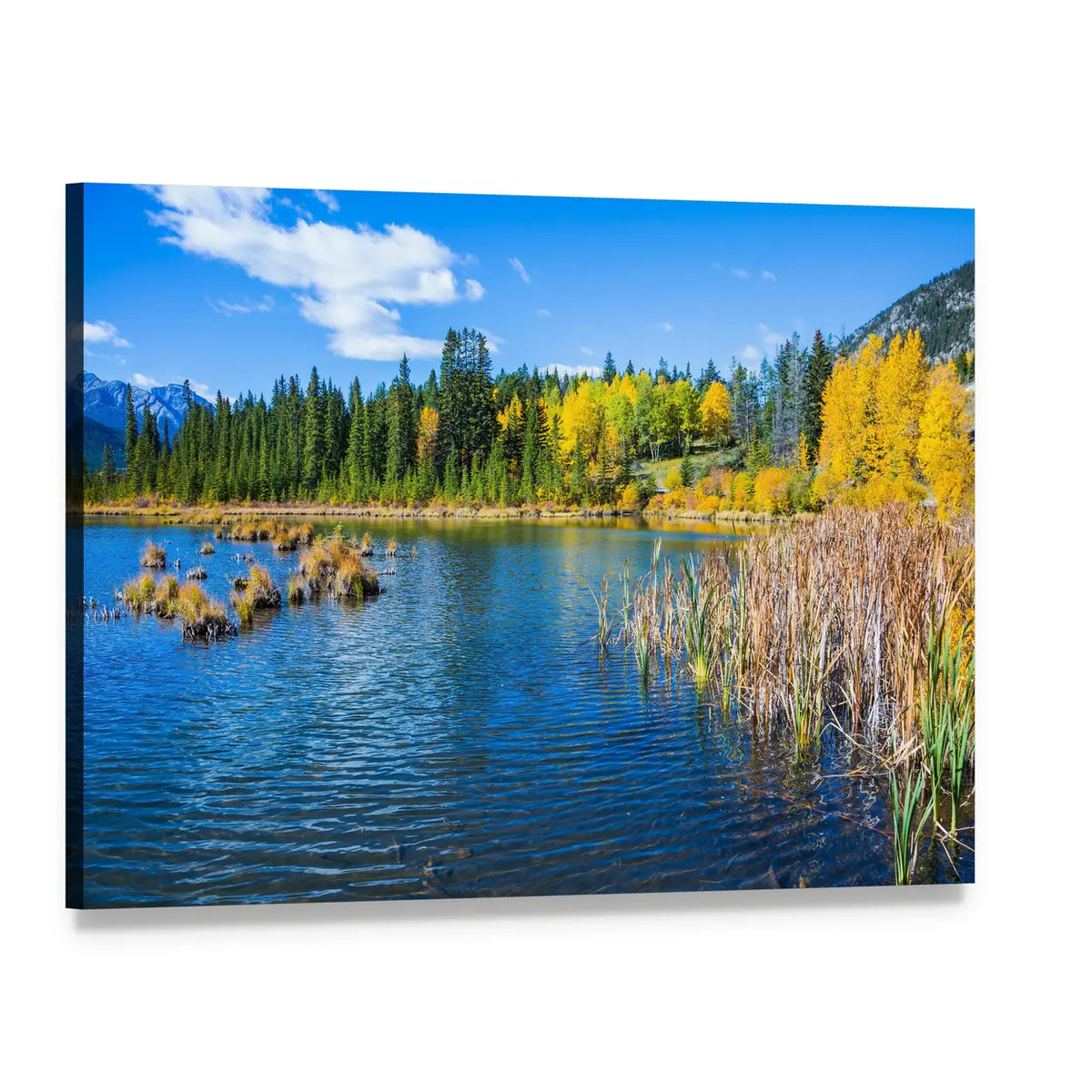 Autumn Lake with Golden Trees and Reeds Canvas Wall Art, single panel gallery wrapped canvas, angled product view