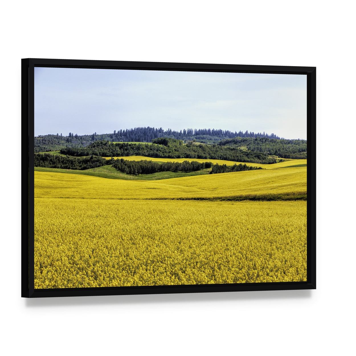 Yellow Mustard Fields Canvas Wall Art, framed canvas in a black floater frame, angled product view