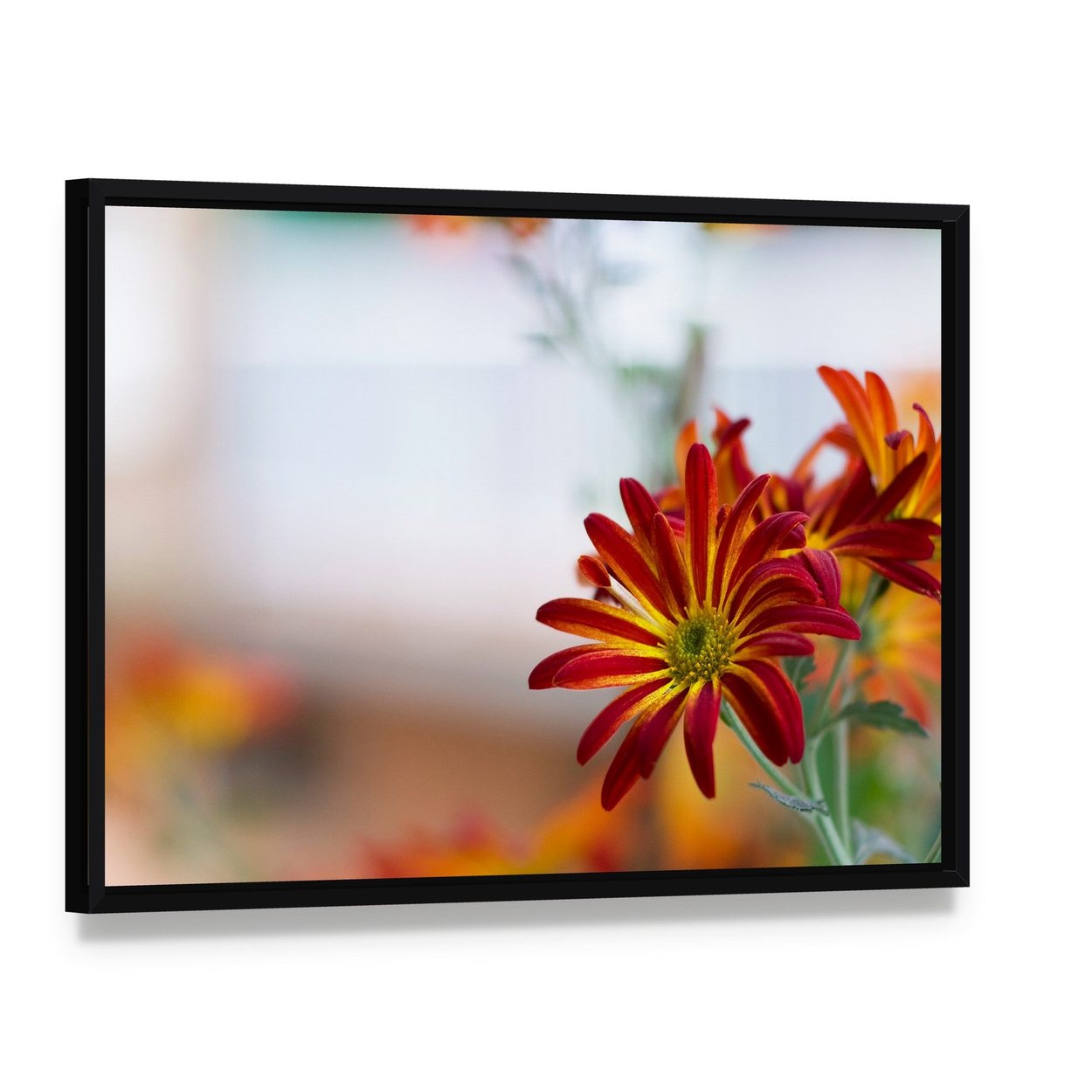 Chrysanthemum Under Sky Canvas Wall Art, framed canvas in a black floater frame, angled product view