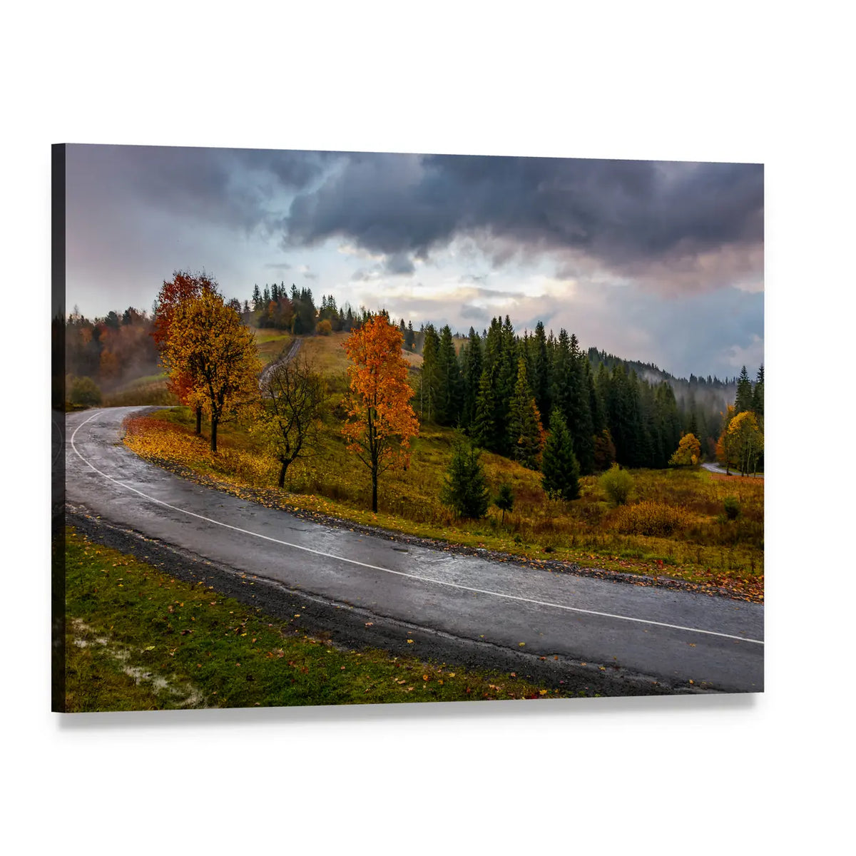 Road Through Autumn Forest Canvas Wall Art, single panel gallery wrapped canvas, angled product view