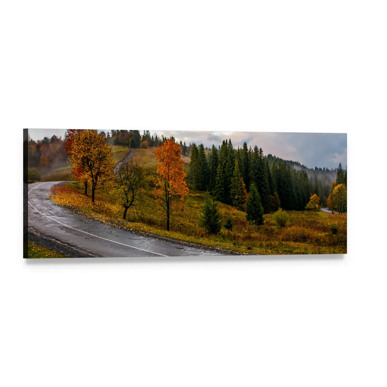 Misty Autumn Road Through Forest Panoramic Canvas Wall Art, single panel gallery wrapped canvas, angled product view