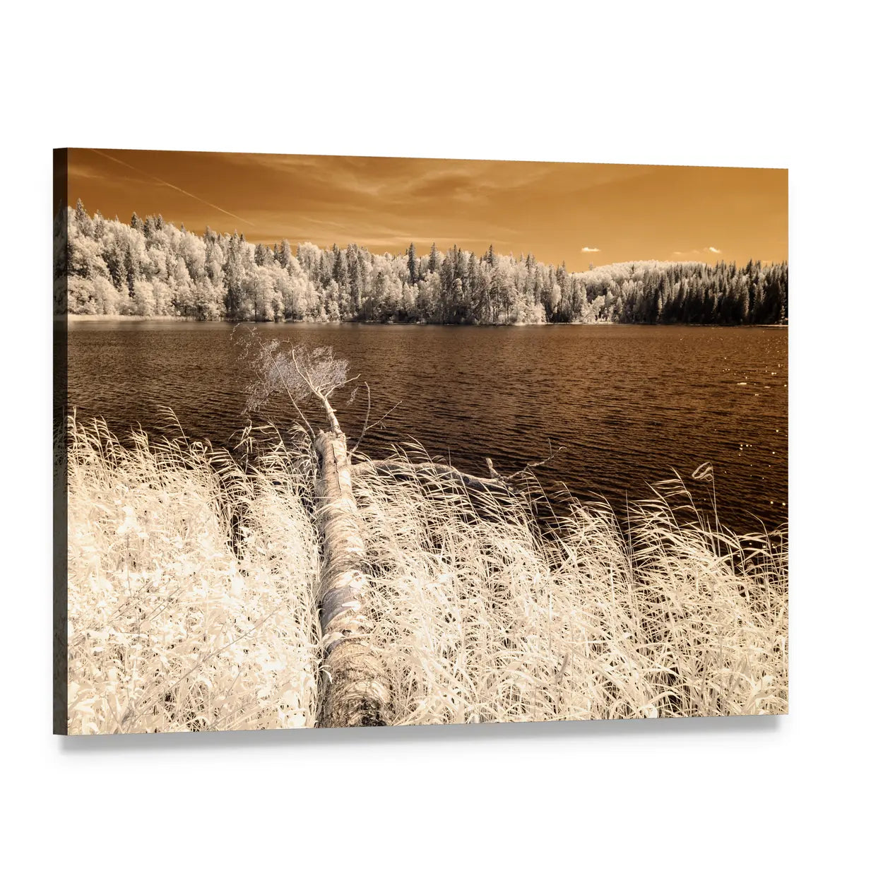 Forest Lake on a Summer Day Canvas Wall Art, single panel gallery wrapped canvas, angled product view