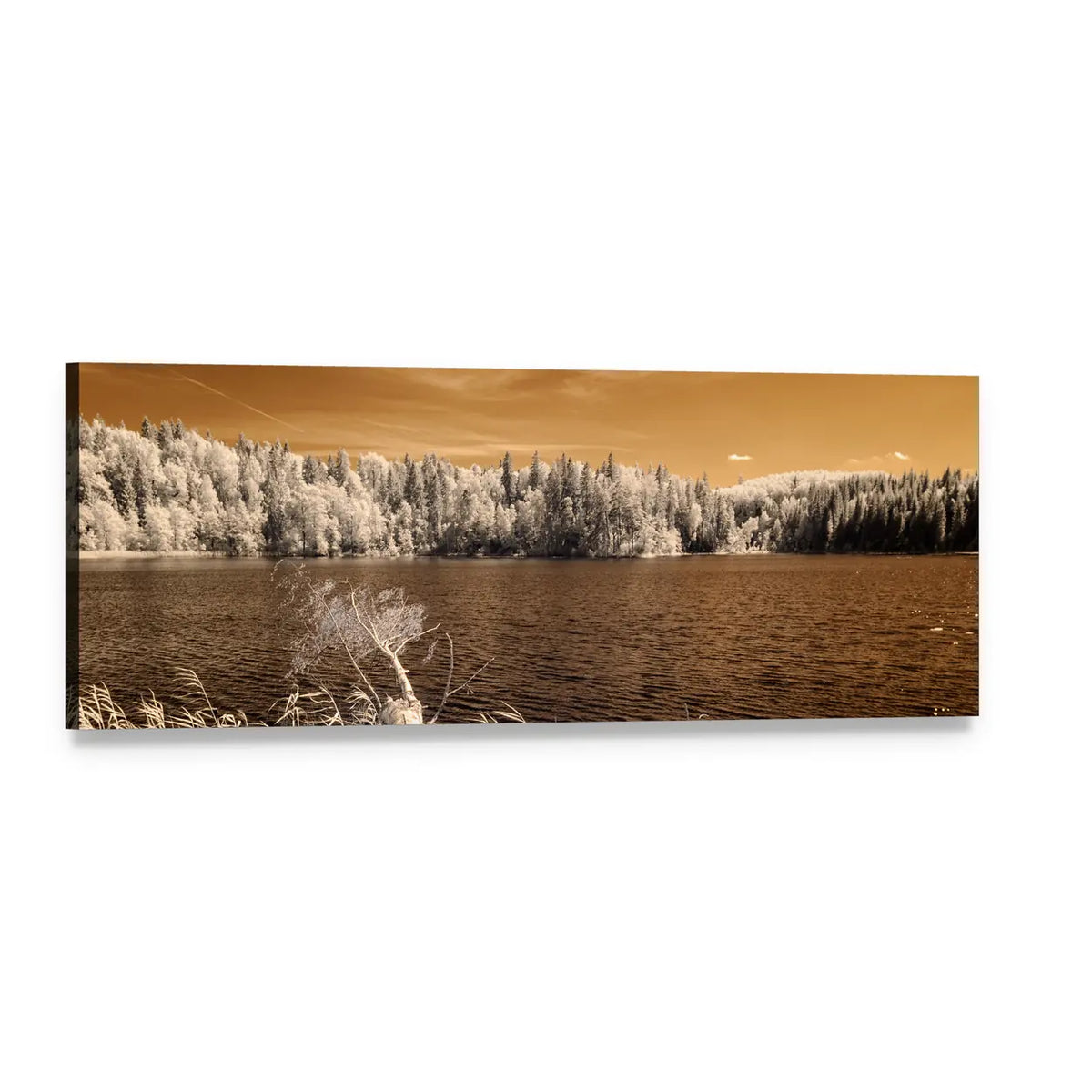 Sepia Lake with Frosted Pines Panoramic Canvas Wall Art, single panel gallery wrapped canvas, angled product view