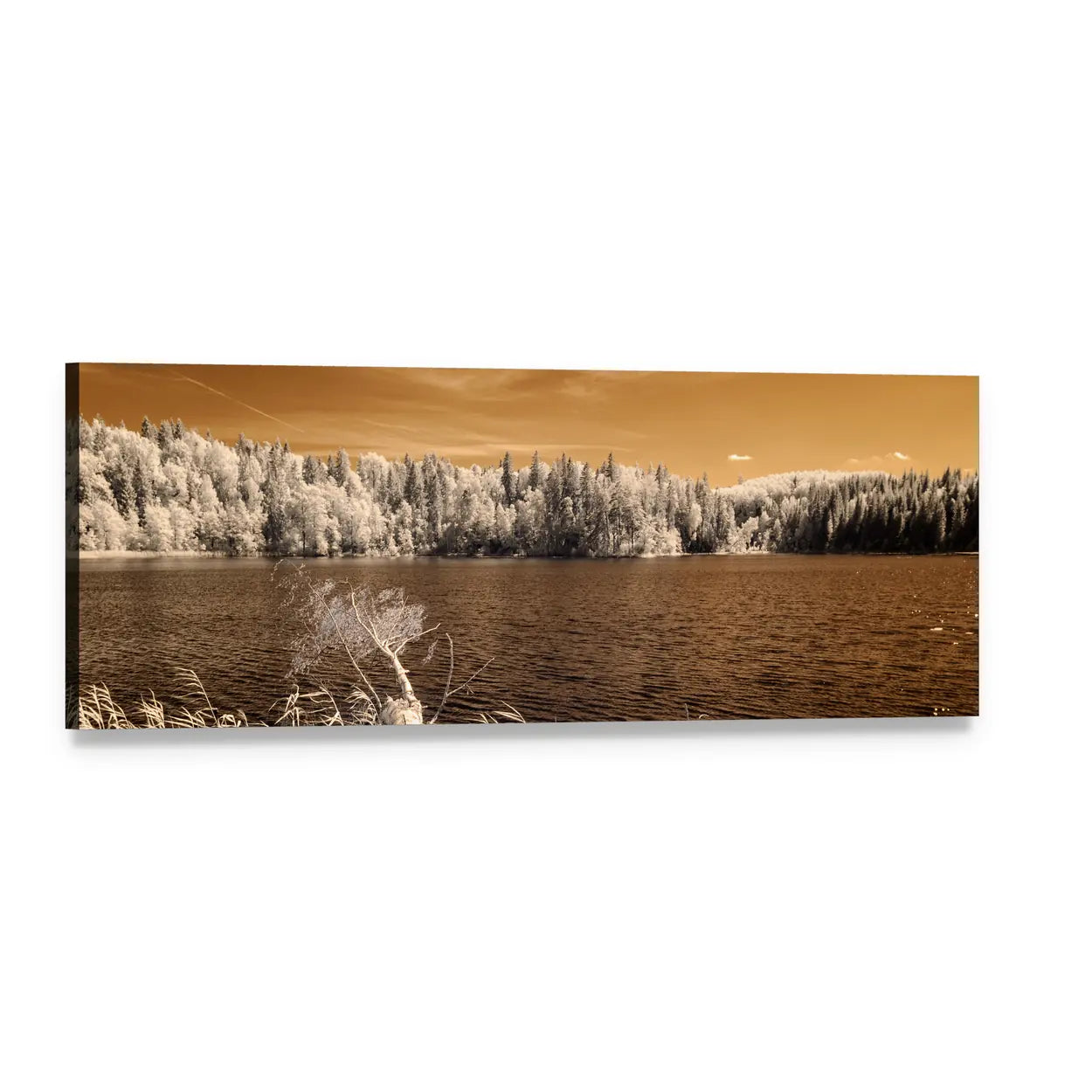Sepia Lake with Frosted Pines Panoramic Canvas Wall Art, single panel gallery wrapped canvas, angled product view